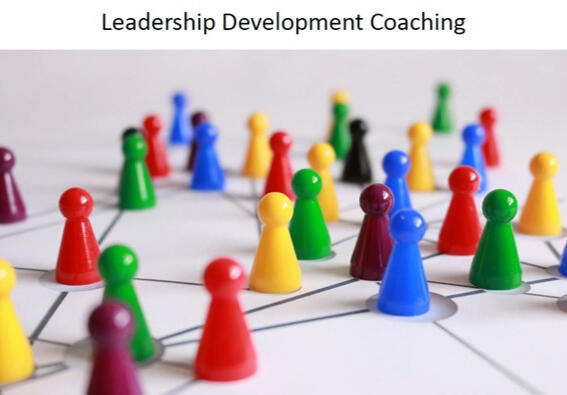 Leadership Development Coaching: In leadership development coaching, Dr. Bradley’s compassionate approach enables leaders to navigate challenges thoughtfully, enhancing their vision and influence.